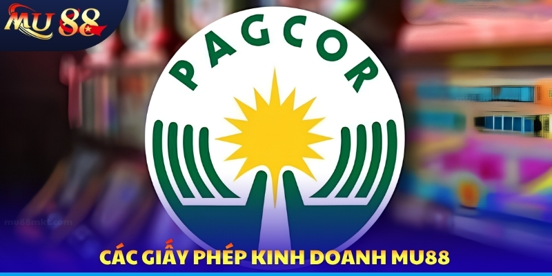 Giấy Phép Kinh Doanh - Bằng Chứng Minh Bạch Cho Thương Hiệu - SLOTVERO