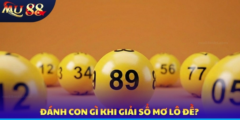 Nằm Mơ Thấy Rùa - Điềm Báo Tương Lai Và Cơ Hội Phát Tài - SLOTVERO