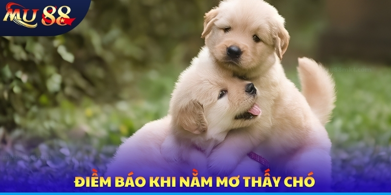 Nằm Mơ Thấy Chó - Ý Nghĩa Biểu Tượng Và Cơ Hội Săn Tài Lộc - SLOTVERO