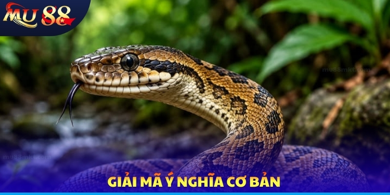 Nằm Mơ Thấy Rắn - Khám Phá Giấc Chiêm Bao Và Con Số Lô Đề - SLOTVERO
