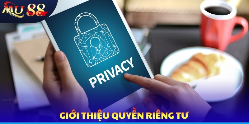 Quyền Riêng Tư - Màn Chắn Quản Lý Thông Tin Người Chơi - SLOTVERO