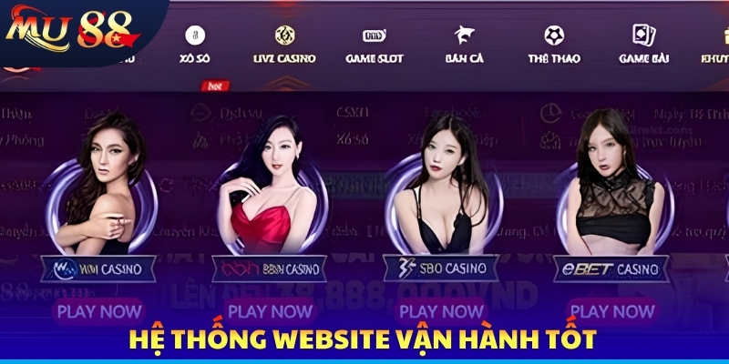 Giấy Phép Kinh Doanh - Bằng Chứng Minh Bạch Cho Thương Hiệu - SLOTVERO