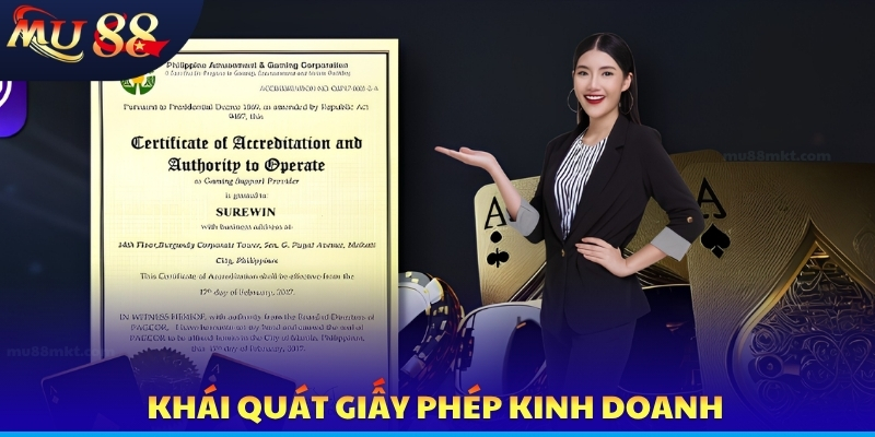 Giấy Phép Kinh Doanh - Bằng Chứng Minh Bạch Cho Thương Hiệu - SLOTVERO