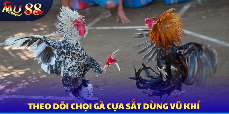 Đá Gà MU88 - Công Nghệ Livestream, Cá Cược Chuyên Nghiệp - SLOTVERO