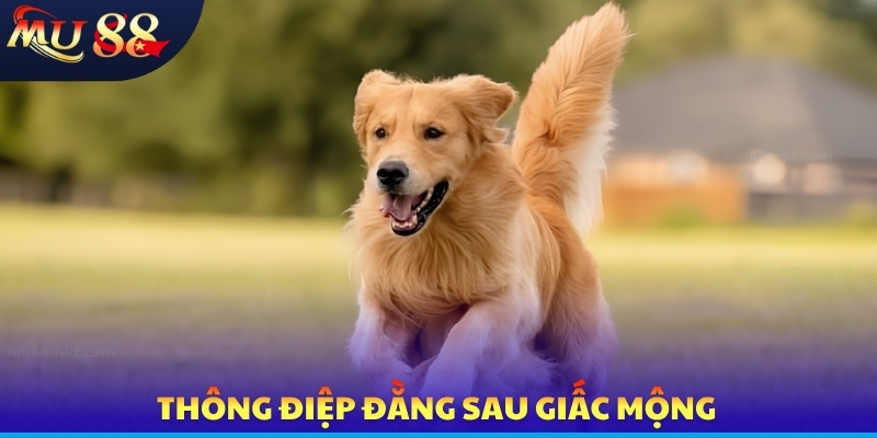 Nằm Mơ Thấy Chó - Ý Nghĩa Biểu Tượng Và Cơ Hội Săn Tài Lộc - SLOTVERO