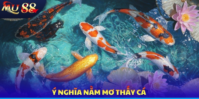 Nằm Mơ Thấy Cá - Tổng Hợp Thông Điệp Và Luận Giải Con Số - SLOTVERO